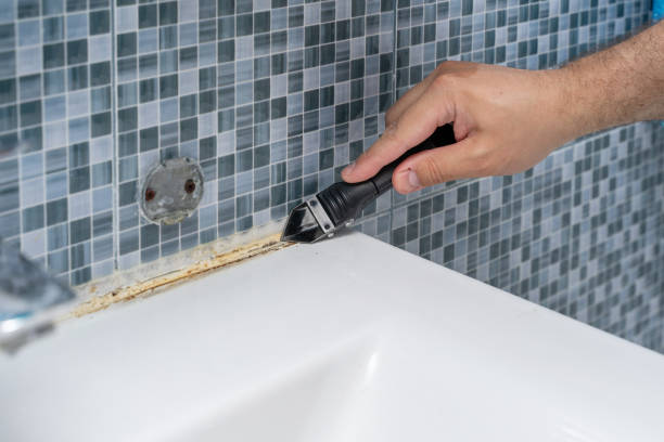 Mold Removal and Inspection in Mosinee, WI