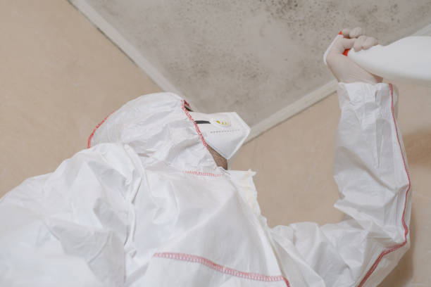 Best Crawl Space Mold Removal  in Mosinee, WI